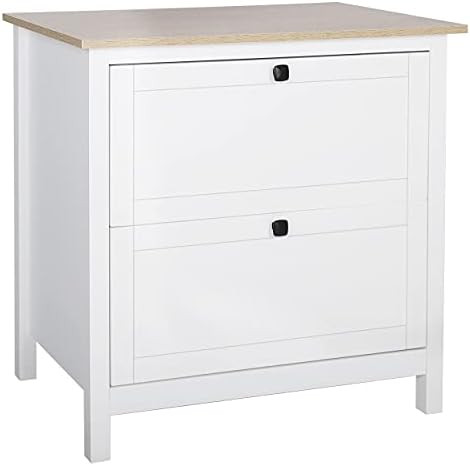 MUPATER 2-Drawer Lateral File Cabinet for Home Office, Filing Storage Cabinet Printer Stand for Lett | Amazon (US)