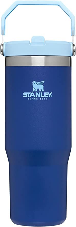 Stanley IceFlow Stainless Steel Tumbler with Straw, Vacuum Insulated Water Bottle for Home, Offic... | Amazon (US)