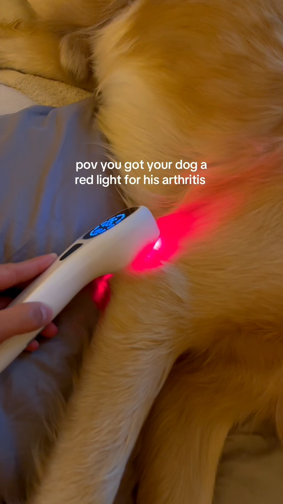 Hoping it helps!! #ltkpets 

#LTKselfcare