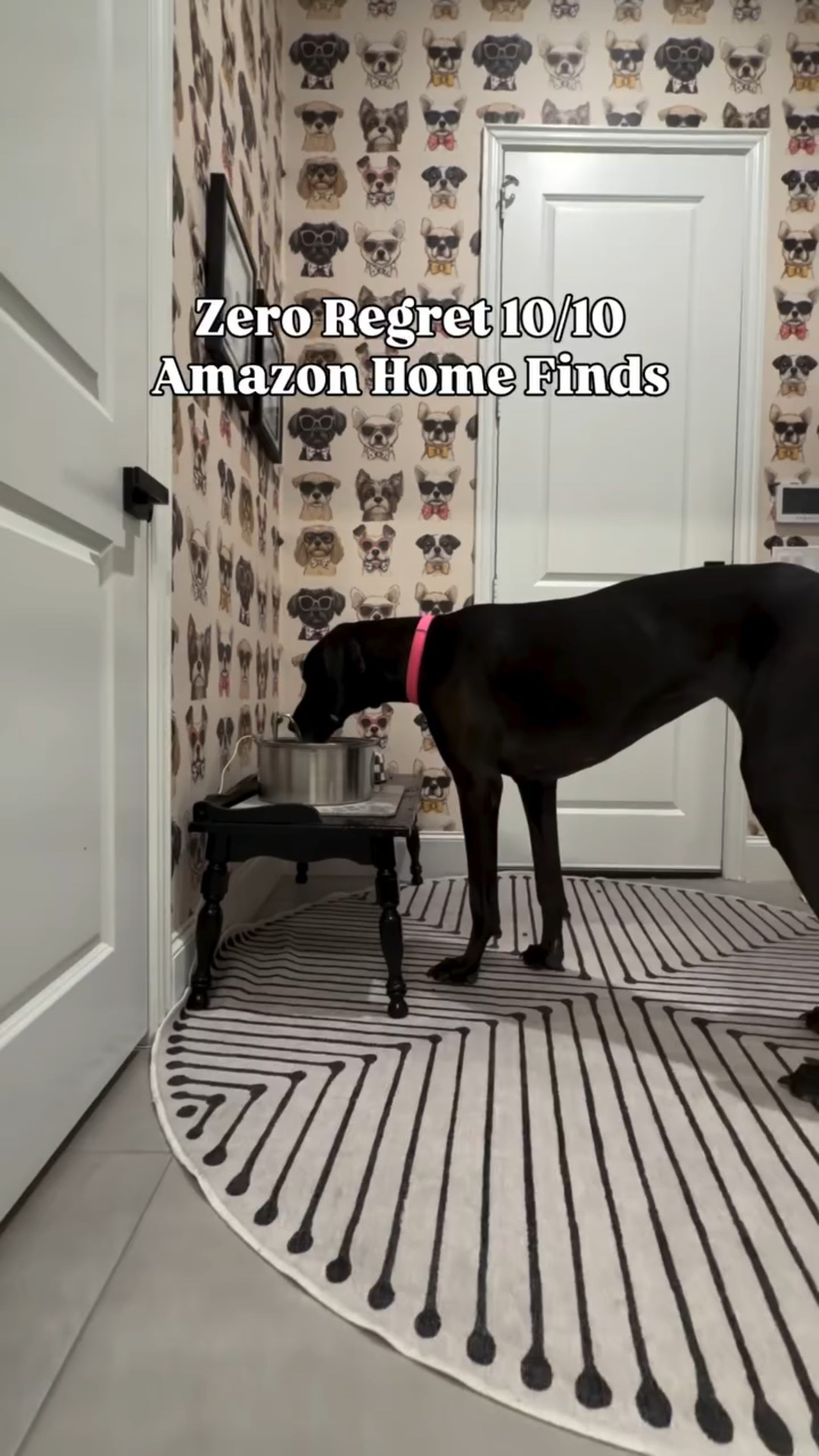 Keeping the pups happy & water bowls full🐾 This automatic, filtered water bowl keeps fresh water flowing all day without constant refills. Plus it’s super quiet!

#PetFinds #DogMomLife #greatdane #amazonhome

automatic dog water bowl. best Amazon pet finds. outdoor pet accessories. dog yard must haves. pet friendly yard ideas. Amazon pet products. practical pet essentials. affordable pet finds online.  automatic dog water bowl. filtered dog water fountain. Great Dane. large dog. dog water bowl for big dogs. no spill dog water bowl. smart pet feeder accessories. pet owner life hacks

#LTKdayinmylife #LTKmorningroutine #LTKHome