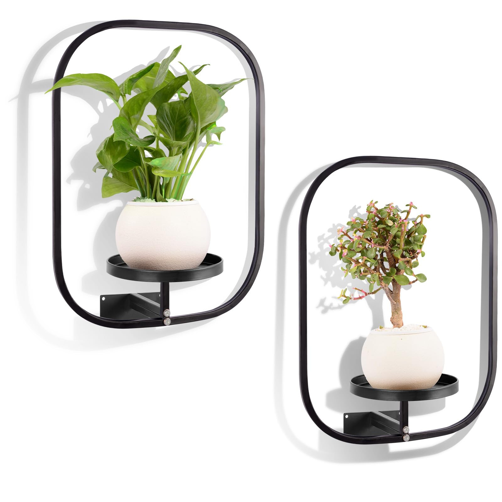 2 Pack Wall Plant Holder, Wall Planters for Indoor Plants, Premium Metal Hanging Holder for Indoo... | Amazon (US)