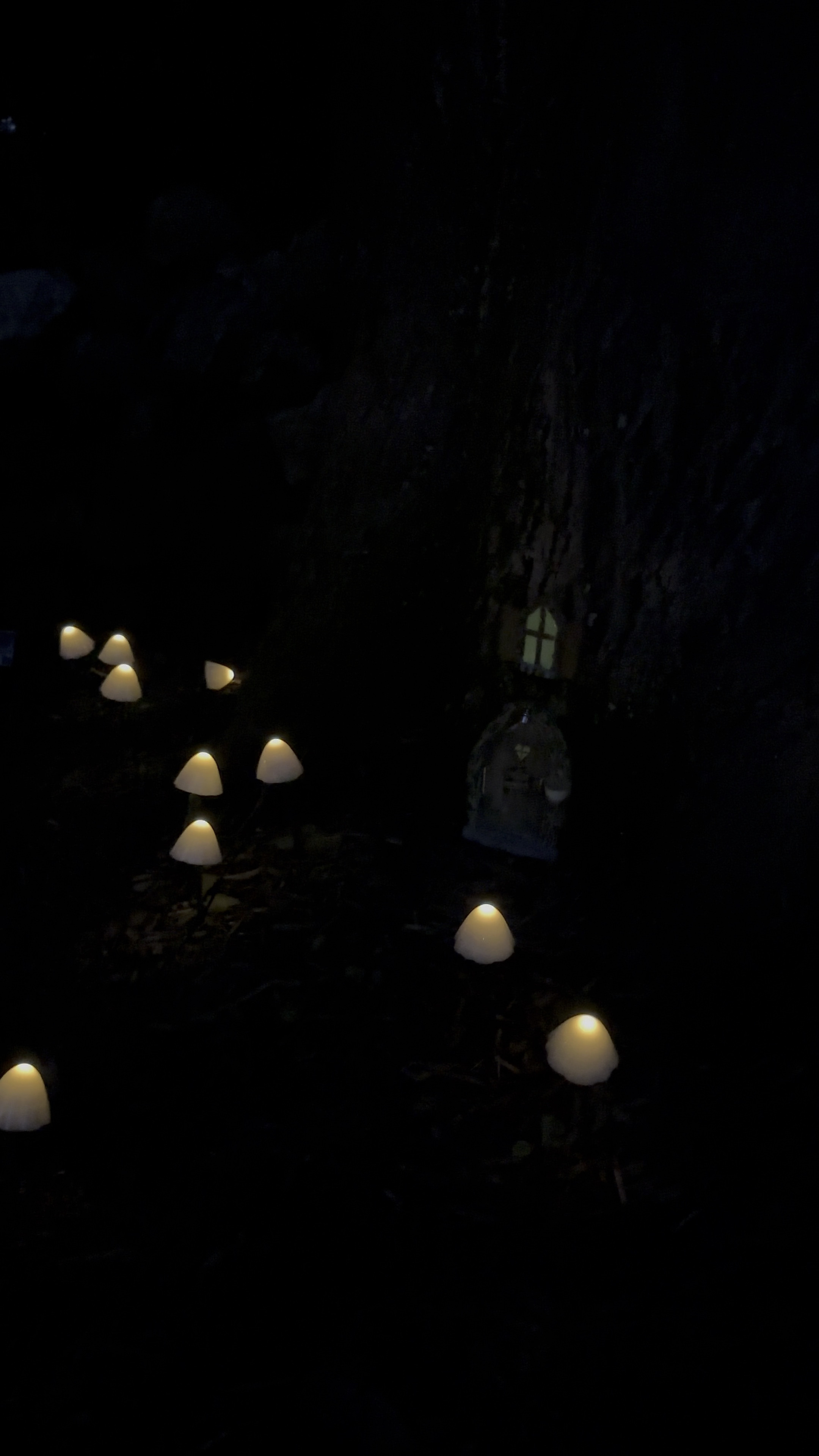 These are the best outdoor solar lights to add some whimsy and joy to your yard. The mushrooms are too cute and the little fairy door glows in the dark 😻