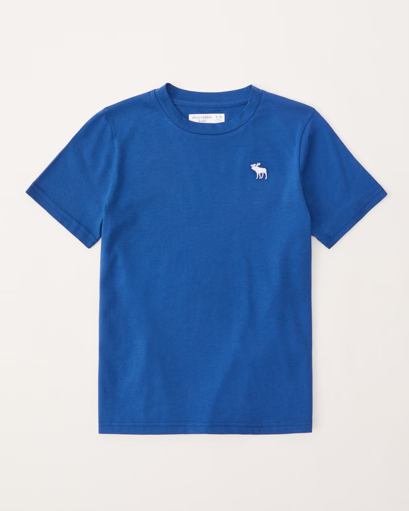 essential icon crew tee | Abercrombie & Fitch (US)