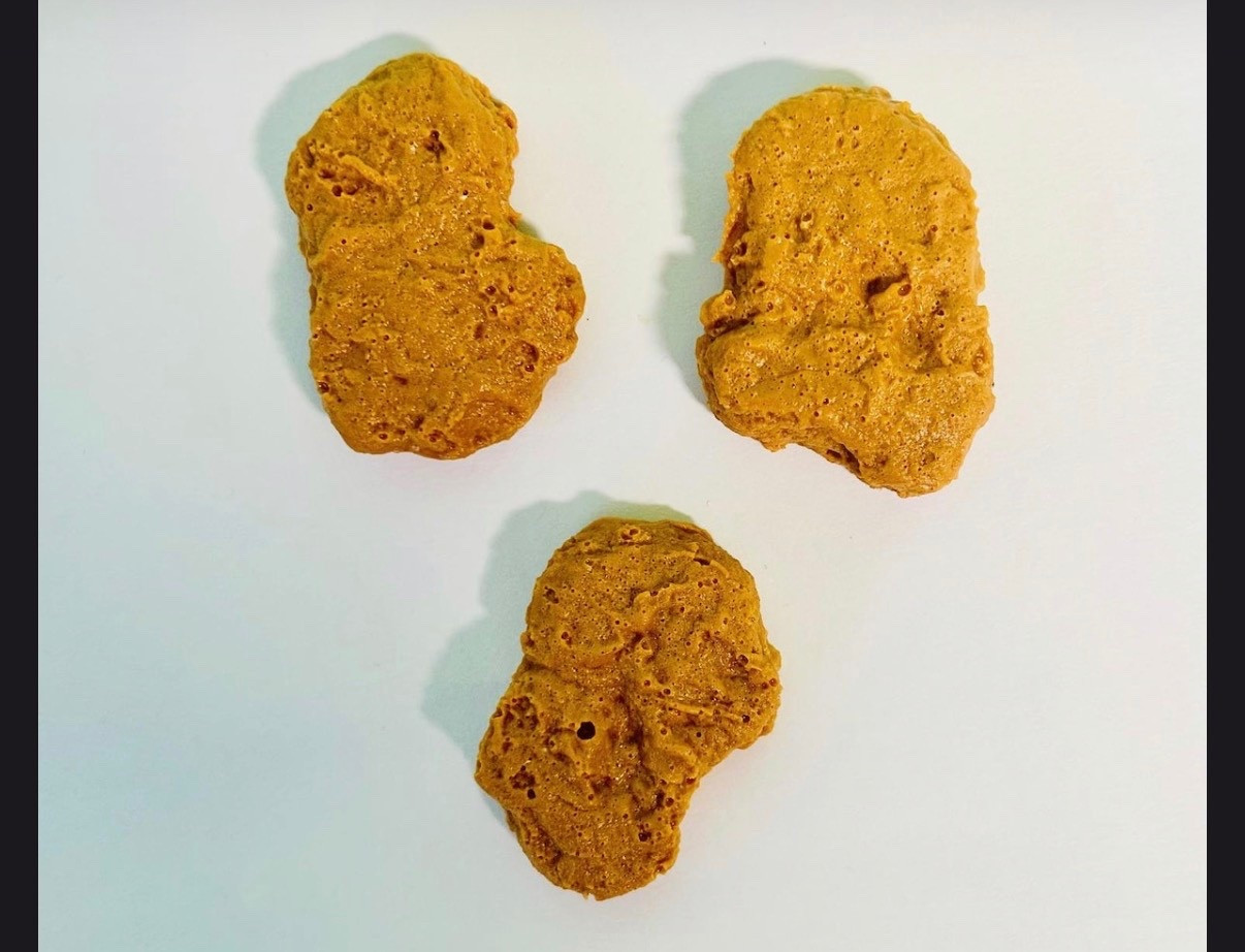 Nuggets- Fake Food plate wall