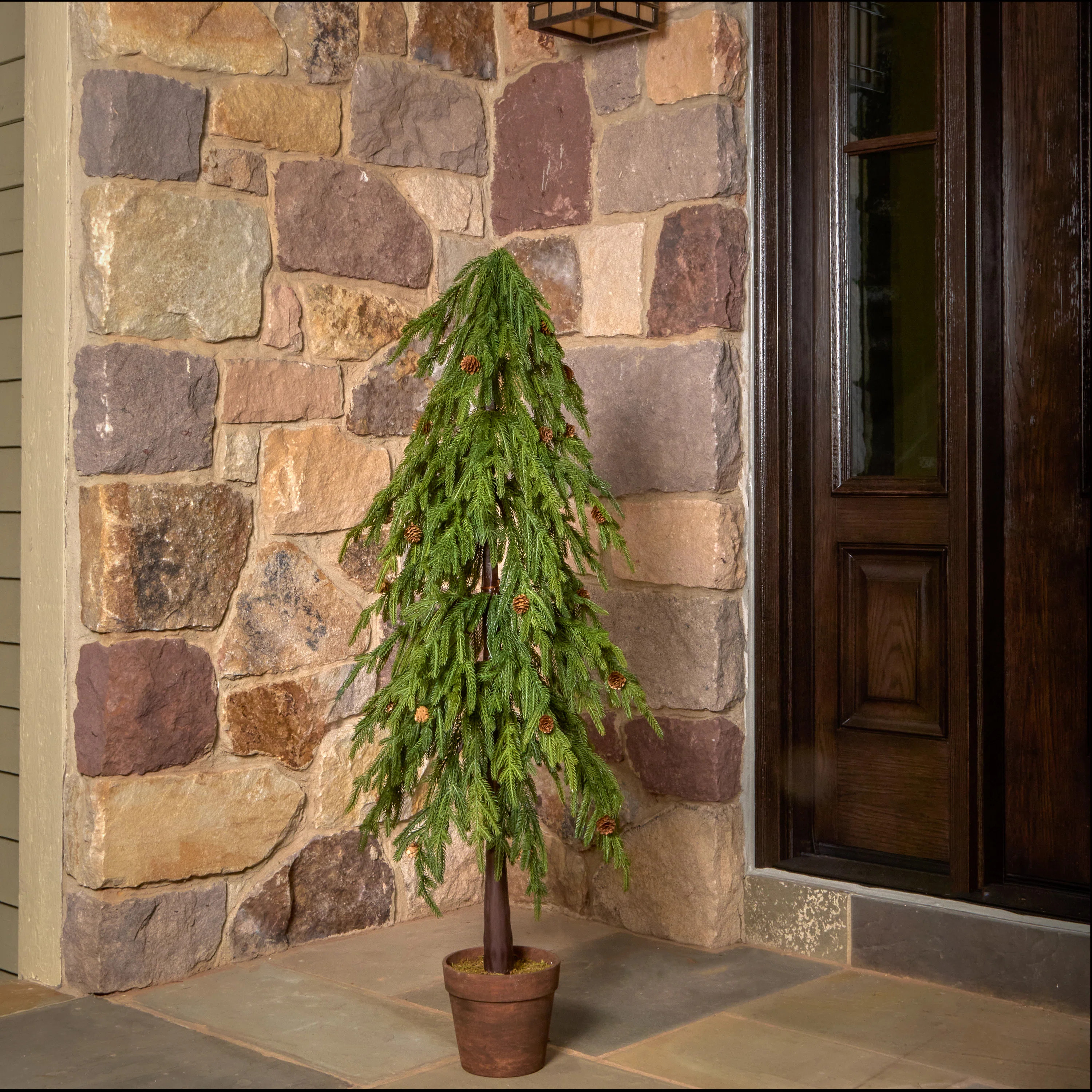 Uv Potted Soft Touch Norfolk Pine Tree | Wayfair North America