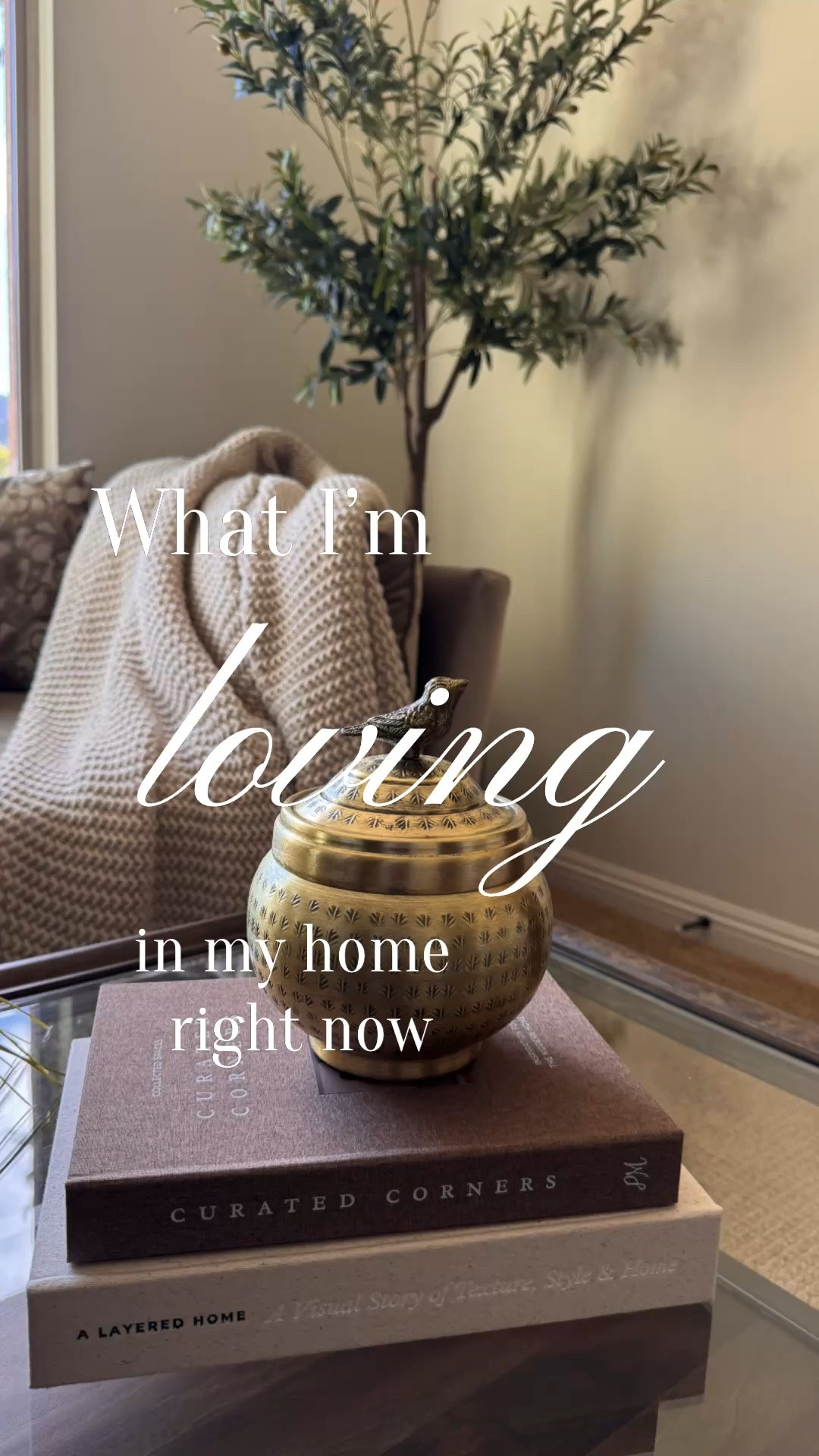 What I’m loving in my home right now 🤎 🤍 These affordable pieces add the perfect mix of warmth, texture, and style without breaking the budget. From woven accents and decorative boxes to greenery, candles, and cozy textiles, each item helps create that elevated modern organic look I love. Simple, timeless decor that makes your home feel curated, cozy, and designer inspired while staying budget friendly.

#LTKHome

#LTKHome
