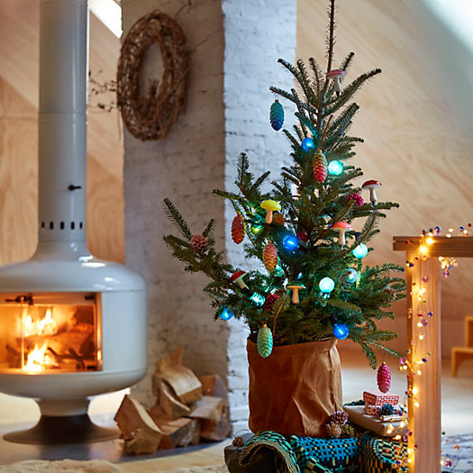 Fresh Tabletop Fraser Fir | Terrain