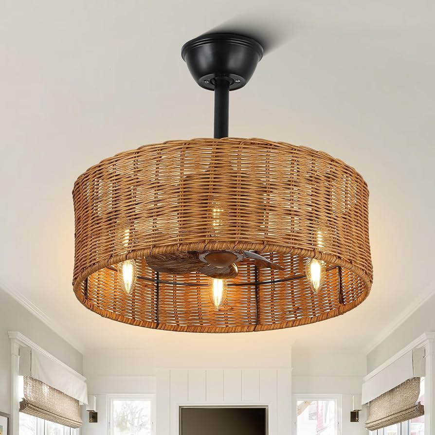 18 Inch Caged Ceiling Fan with Lights, Rattan Fandelier Ceiling Fans with Light and Remote Contro... | Amazon (US)
