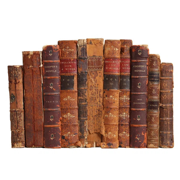 Distressed Leather Colorpak | Wayfair North America