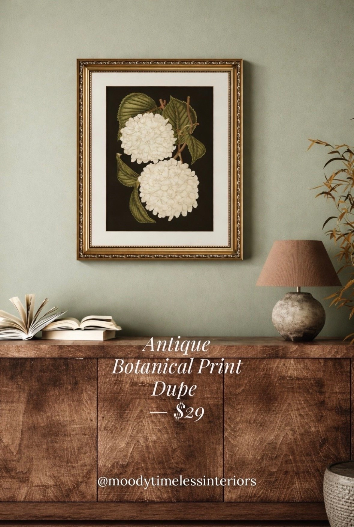 Dark background. White hydrangea. Gold frame. $29.99. 🖤 This framed botanical print is giving antique gallery wall for a fraction of the cost — and it ships FREE with Prime! 446 reviews, 4.6 stars, and 100+ bought last month. Multiple sizes available so you can find your perfect fit. This is the piece your gallery wall has been missing. Tap to shop! 🌿
#LTKfindsunder50

#LTKHome