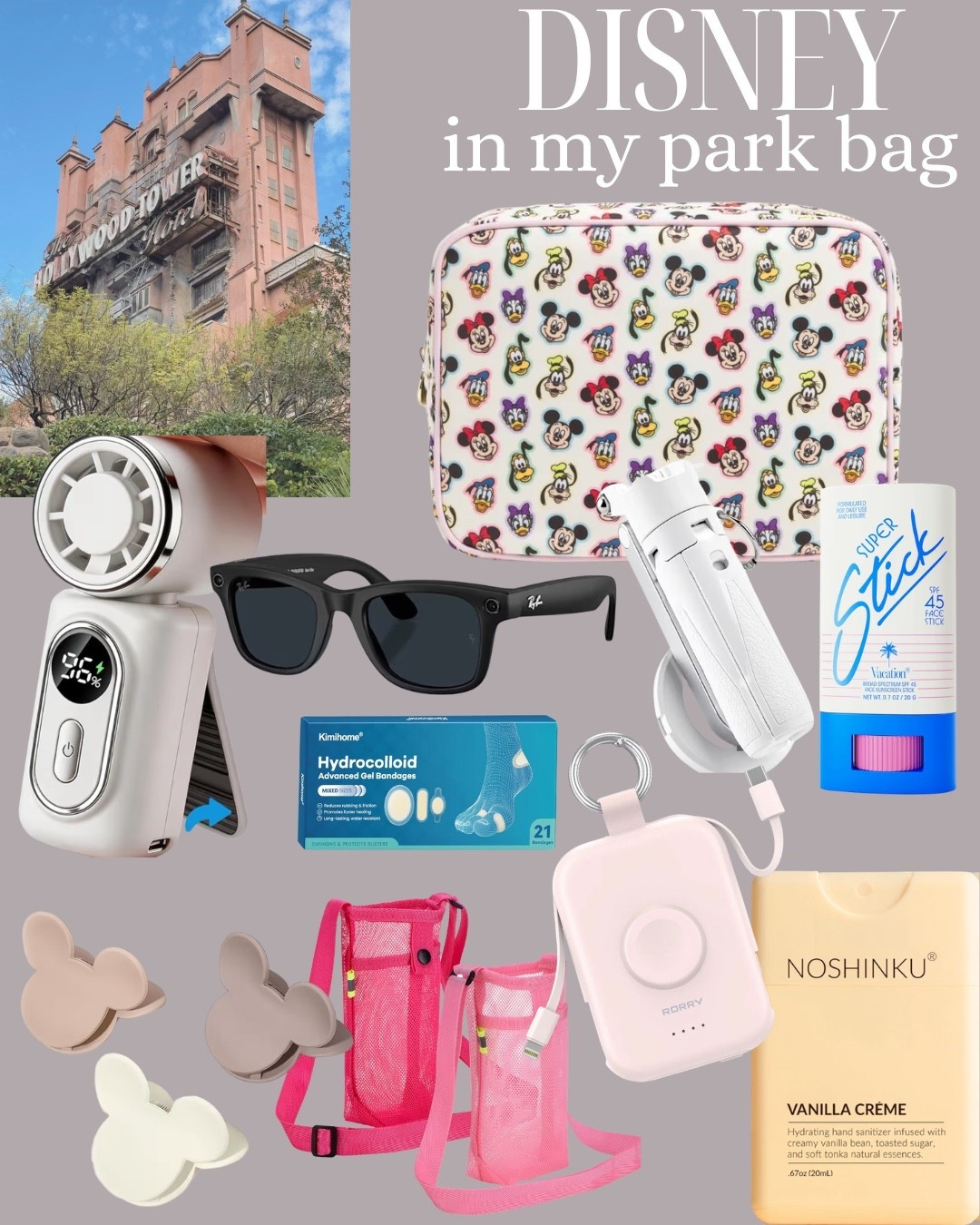 Disney Park Bag