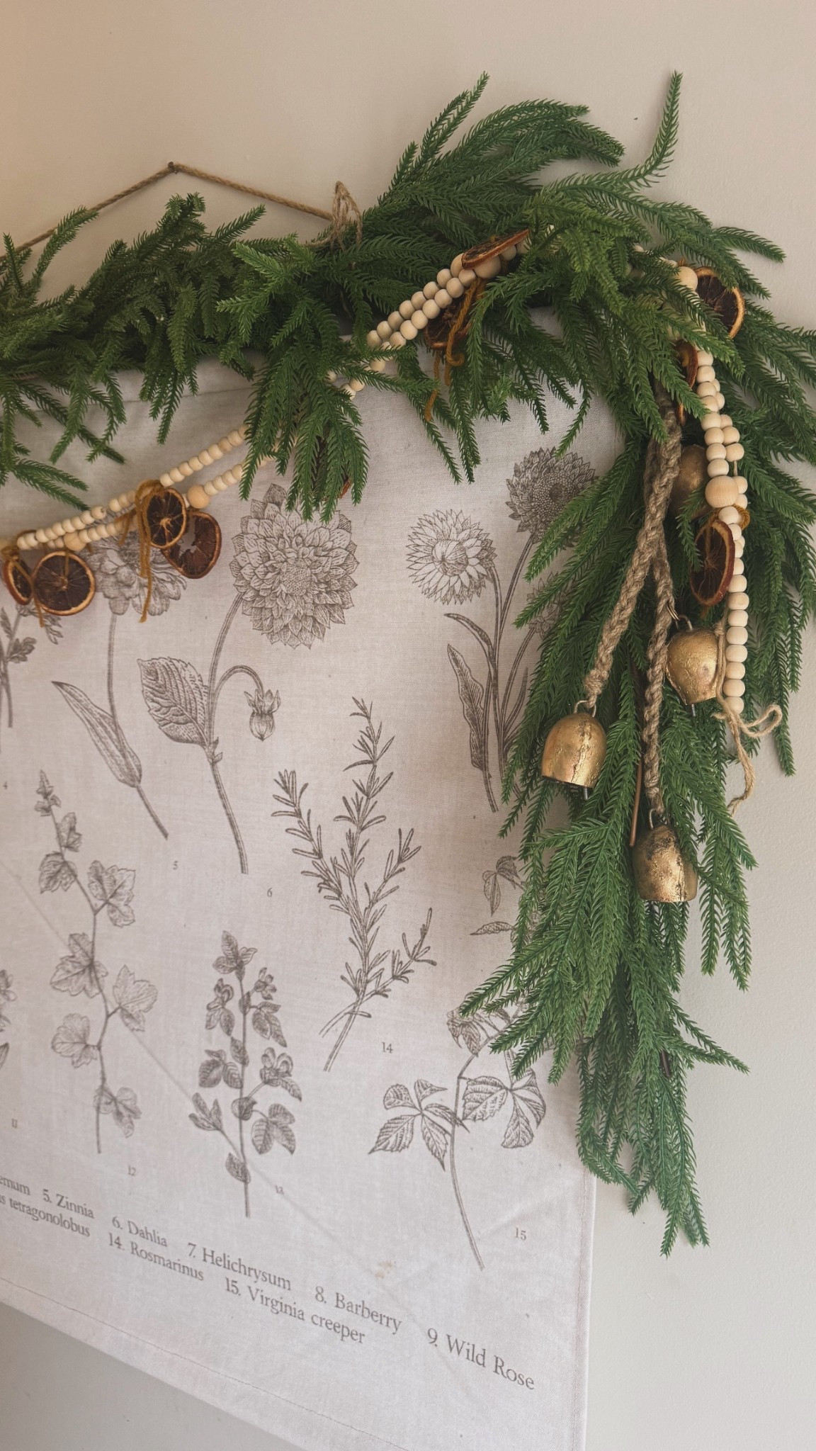 Norfolk Real Touch Garland ✨🤩🌲

Less than $15! ✨

#LTKCyberWeek #LTKGiftGuide #LTKHoliday