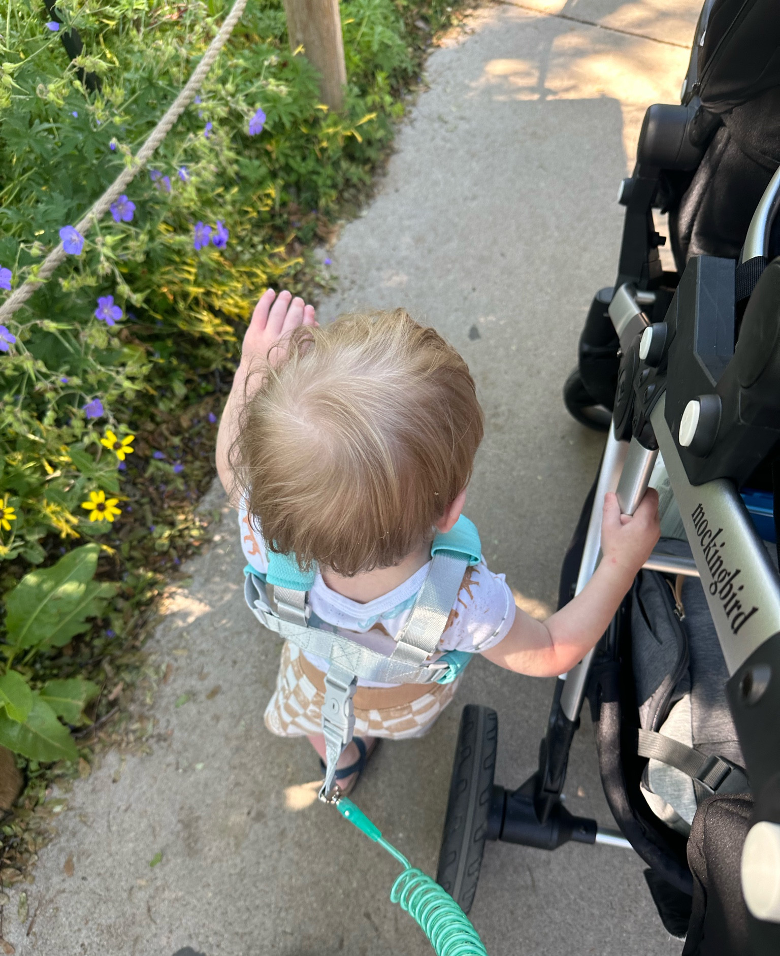 Toddler wrist lock harness leash 

#LTKkids #LTKbaby #LTKfamily