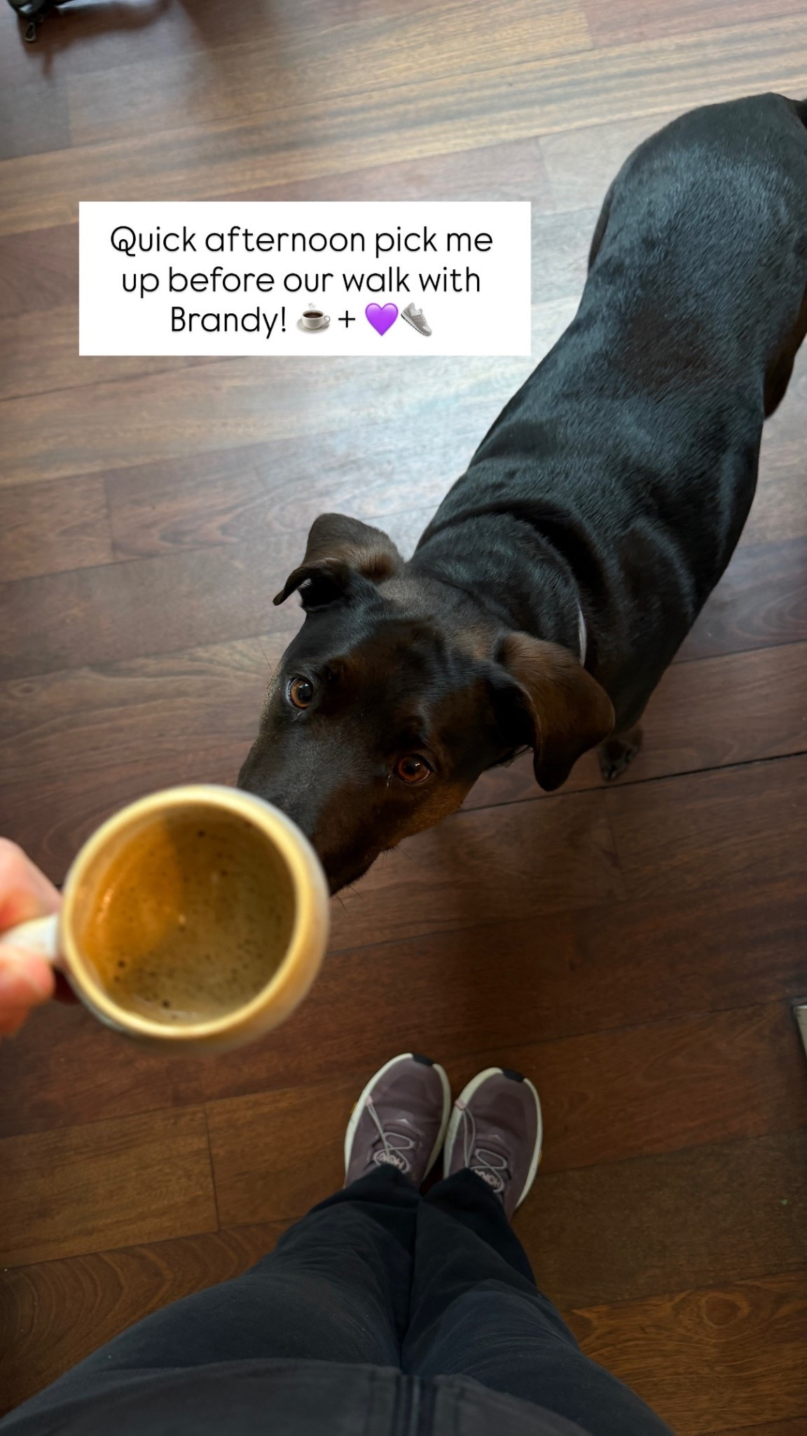 Favorite afternoon pick me up!  Expresso & a neighborhood dog walk! ☕️🐾