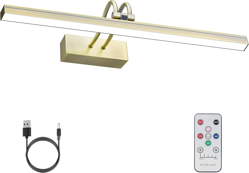 FUNCHDAY Picture Light, Wireless Rechargeable Gallery Lights with Remote, 280LM 48 LED Dimmable P... | Amazon (US)
