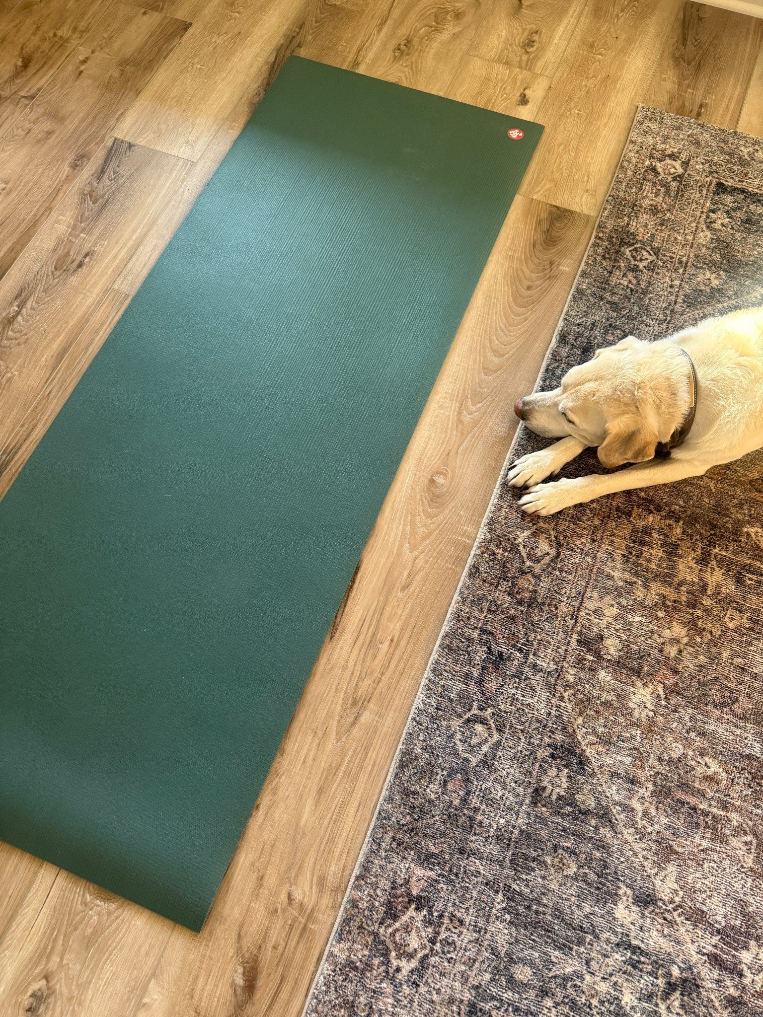 Splurge Yoga Mat 

#LTKGiftGuide #LTKfitnessgoals #LTKActive