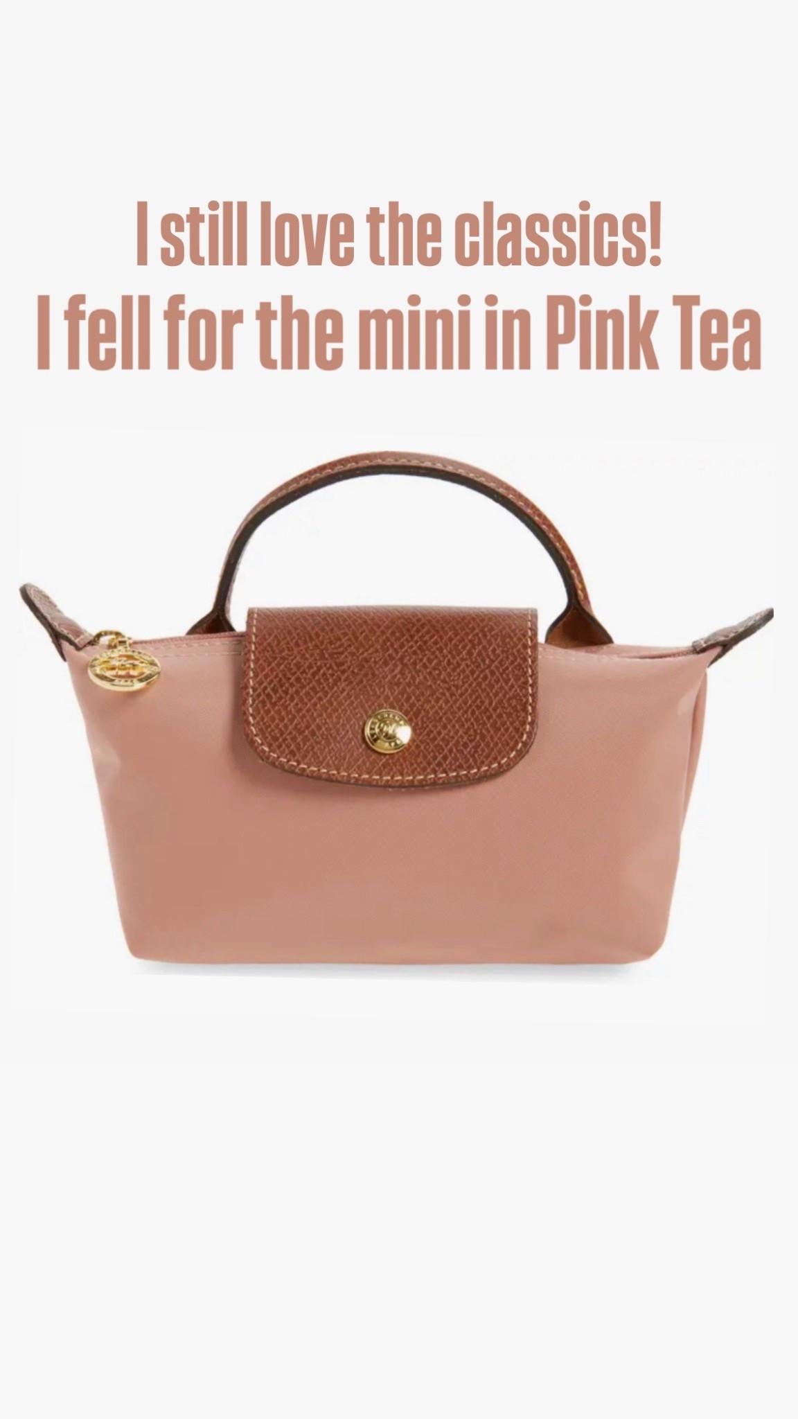 Longchamp bag 
Mini
Cosmetic bag 

#LTKTravel #LTKBeauty #LTKItBag