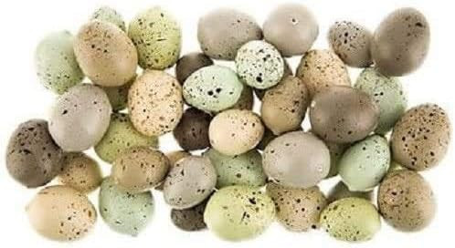 The Spotted Moose New Set of 30 1.25" & 1" Small Mini Colored Bird Spring Nest Speckled Eggs for ... | Amazon (US)