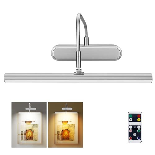 RAIFOOLLY Picture Light Battery Operated,Wireless Accent for Wall, Remote Painting Light with Timer and Dimmable for Art,Display,Frame,Mirror-Nickel | Amazon (US)