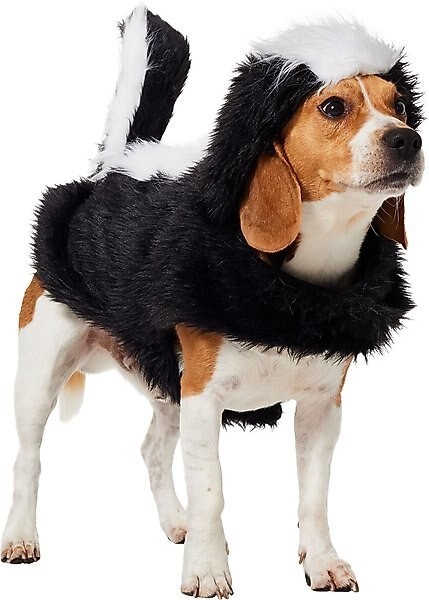 Frisco Faux Fur Skunk Dog & Cat Costume | Chewy.com