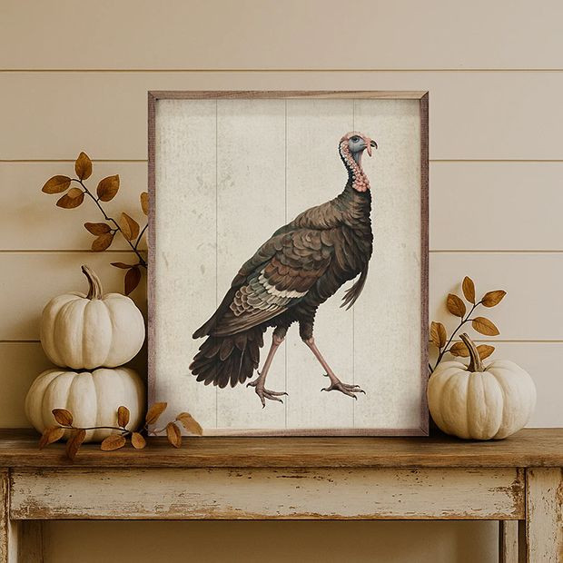 Autumn Turkey Framed Wall Decor | Antique Farm House