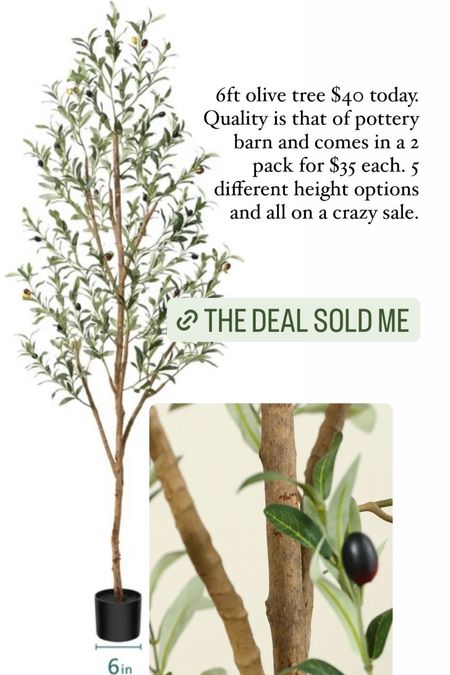 Olive tree, sale, faux plant

#LTKfindsunder50 #LTKhome