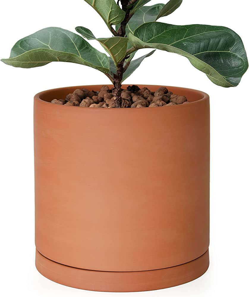 Large 10 Inch Terracotta Plant Pot with Drainage Hole and Saucer, Round Cylinder Planter Pot for ... | Amazon (US)
