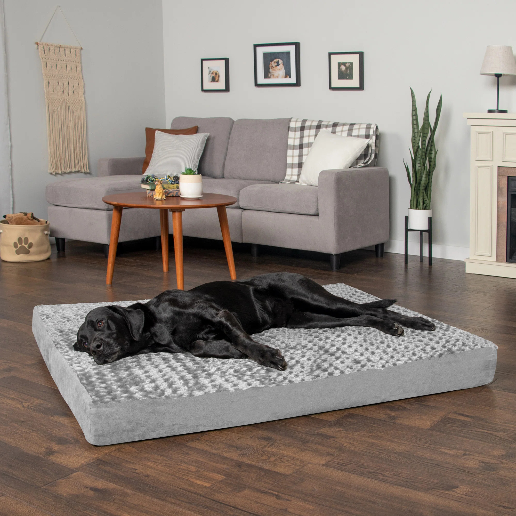FurHaven Ultra Plush Deluxe Full Support Solid Orthopedic Dog Bed & Reviews | Wayfair | Wayfair North America