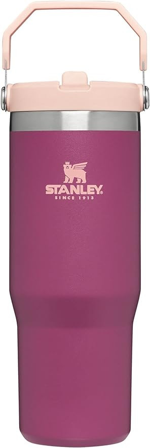 Stanley IceFlow Stainless Steel Tumbler with Straw, Vacuum Insulated Water Bottle for Home, Offic... | Amazon (US)