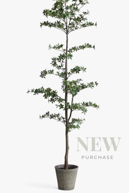 Just purchased this tree and I can’t wait for it to come in!! 

Faux tree, olive tree, shady lady tree.



#LTKhome #LTKFind #LTKstyletip