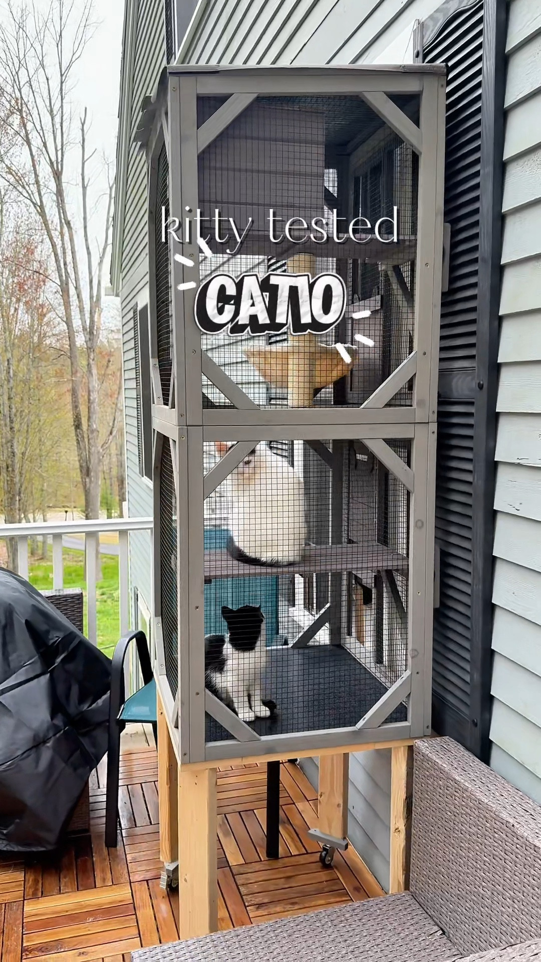 This catio keeps momma cat and baby safe from predators while still letting them enjoy fresh air, sunshine, and all the animal drama from a secure spot. The wheels make it super easy to move, and they were obsessed the second we opened the window.
@Wayfair 

#LTKHome #LTKdayinmylife #LTKSaleAlert