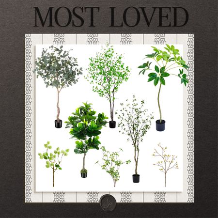 Most loved - artificial trees and stems

Amazon, Rug, Home, Console, Amazon Home, Amazon Find, Look for Less, Living Room, Bedroom, Dining, Kitchen, Modern, Restoration Hardware, Arhaus, Pottery Barn, Target, Style, Home Decor, Summer, Fall, New Arrivals, CB2, Anthropologie, Urban Outfitters, Inspo, Inspired, West Elm, Console, Coffee Table, Chair, Pendant, Light, Light fixture, Chandelier, Outdoor, Patio, Porch, Designer, Lookalike, Art, Rattan, Cane, Woven, Mirror, Luxury, Faux Plant, Tree, Frame, Nightstand, Throw, Shelving, Cabinet, End, Ottoman, Table, Moss, Bowl, Candle, Curtains, Drapes, Window, King, Queen, Dining Table, Barstools, Counter Stools, Charcuterie Board, Serving, Rustic, Bedding, Hosting, Vanity, Powder Bath, Lamp, Set, Bench, Ottoman, Faucet, Sofa, Sectional, Crate and Barrel, Neutral, Monochrome, Abstract, Print, Marble, Burl, Oak, Brass, Linen, Upholstered, Slipcover, Olive, Sale, Fluted, Velvet, Credenza, Sideboard, Buffet, Budget Friendly, Affordable, Texture, Vase, Boucle, Stool, Office, Canopy, Frame, Minimalist, MCM, Bedding, Duvet, Looks for Less

#LTKstyletip #LTKSeasonal #LTKhome