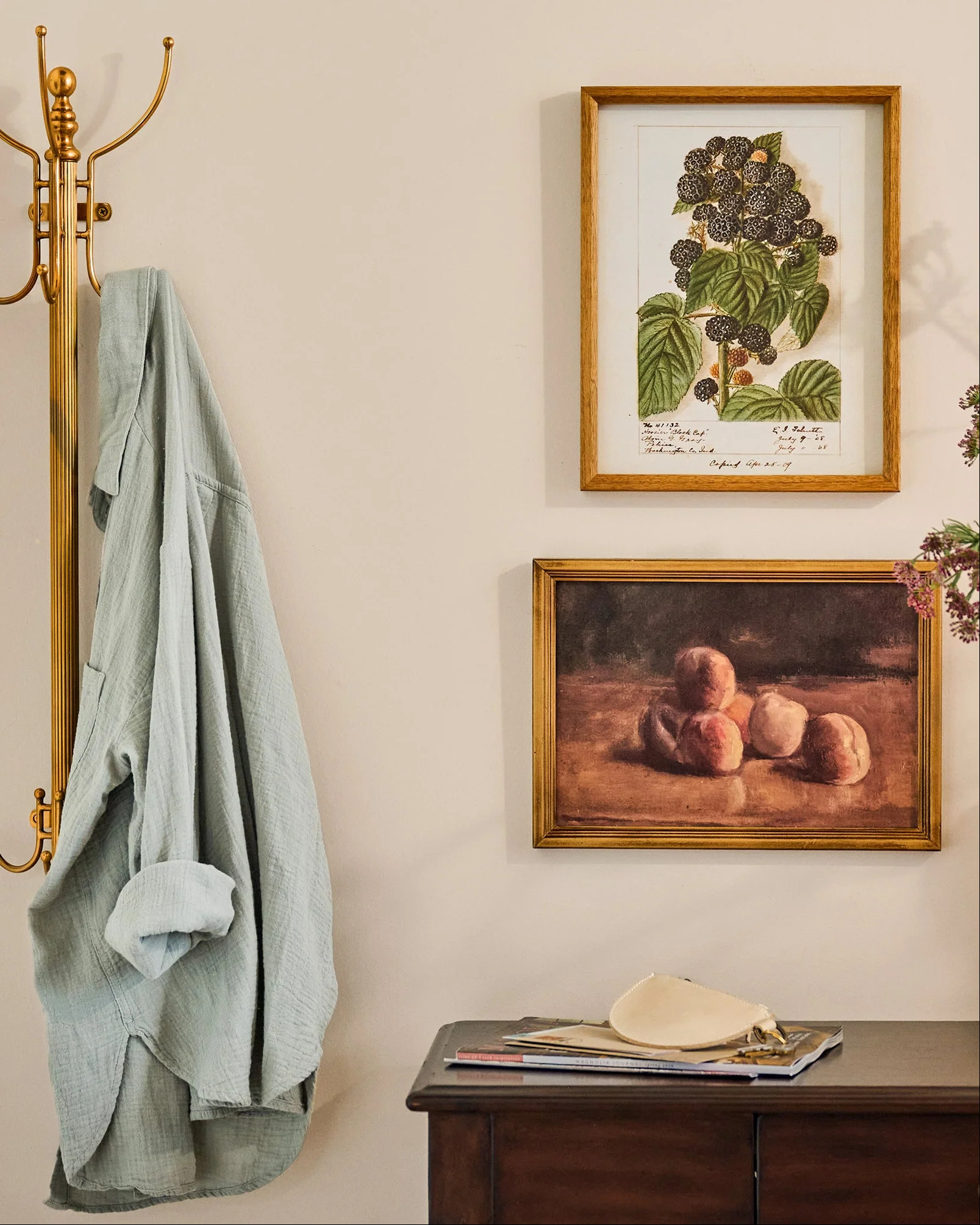 Fresh Blackberry Botanical Framed Print | Magnolia