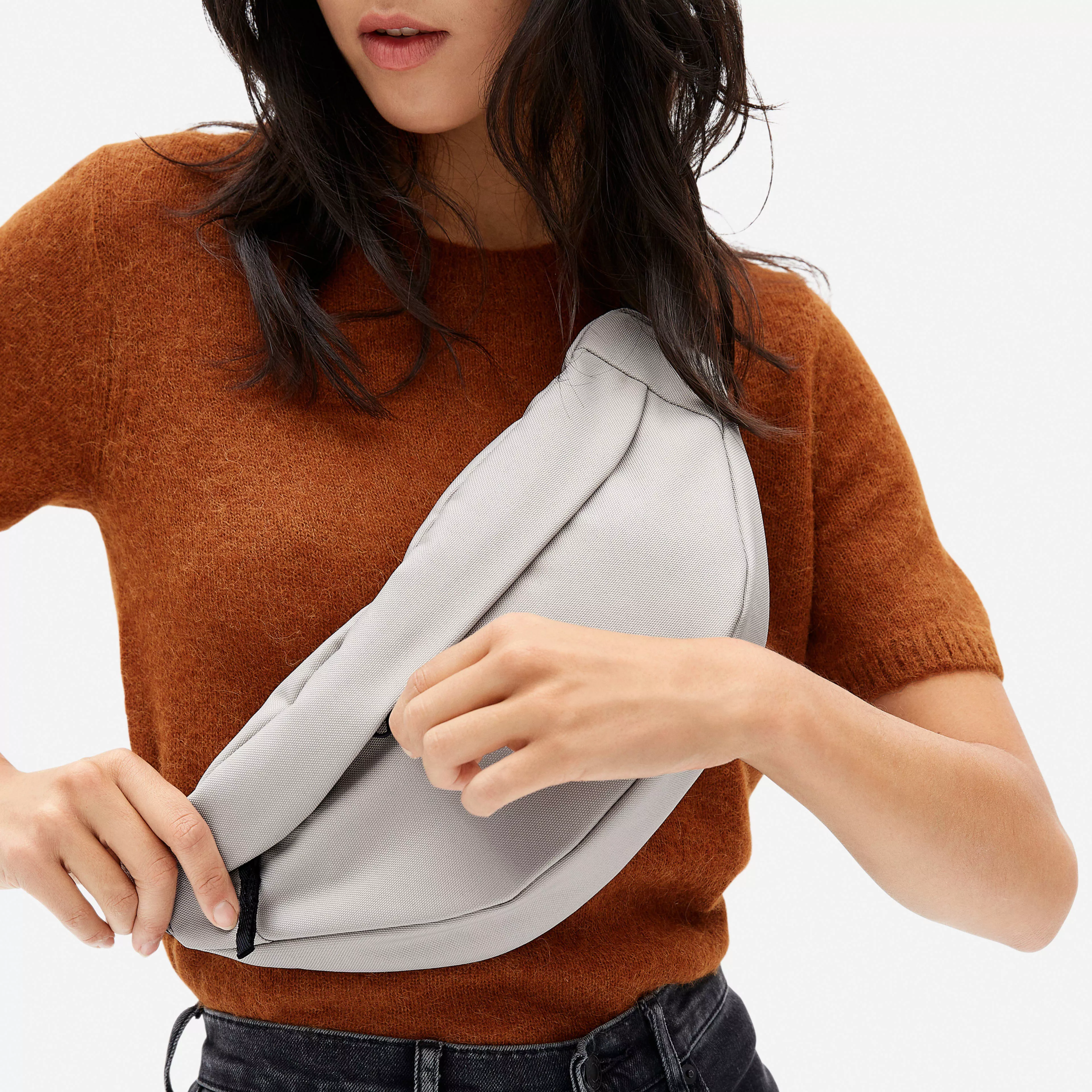 Everlane fanny clearance pack