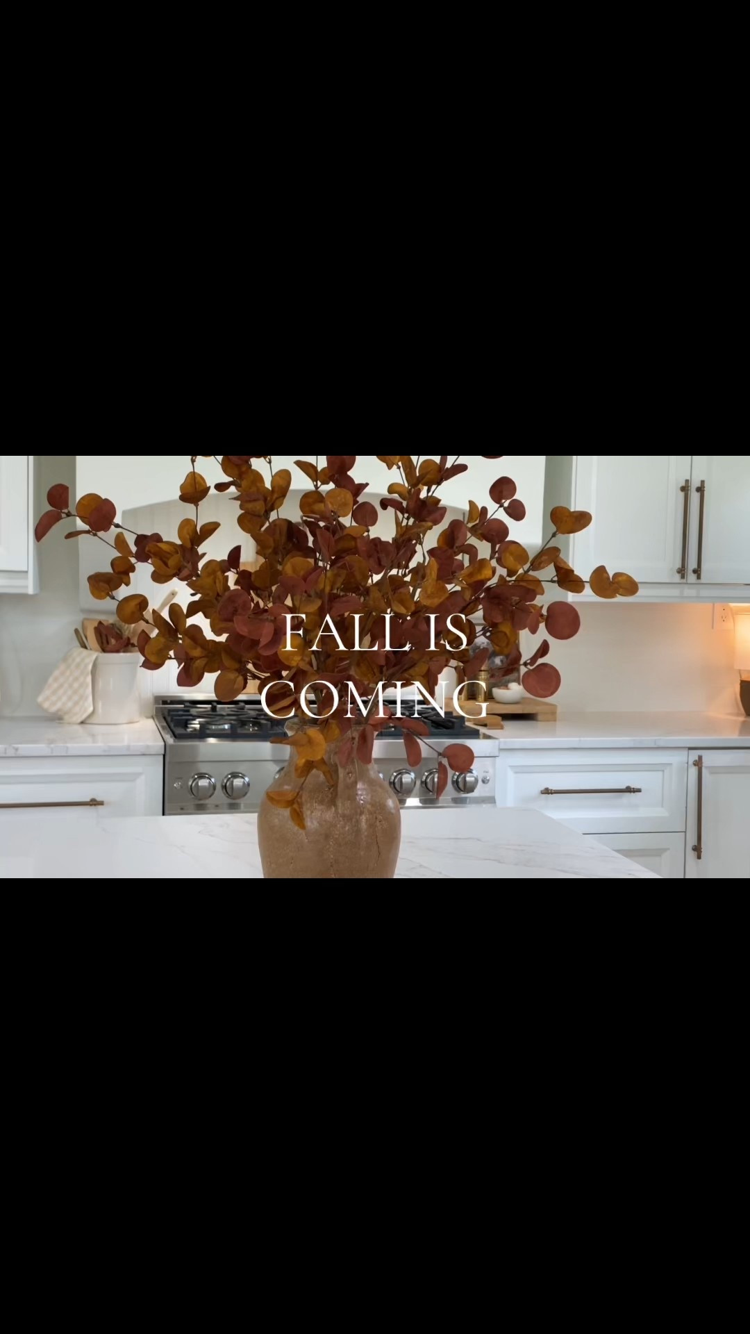 Fall is coming! Sharing my favorite early fall home decor items and how I style them 

#LTKFindsUnder50 #LTKHome #LTKSeasonal