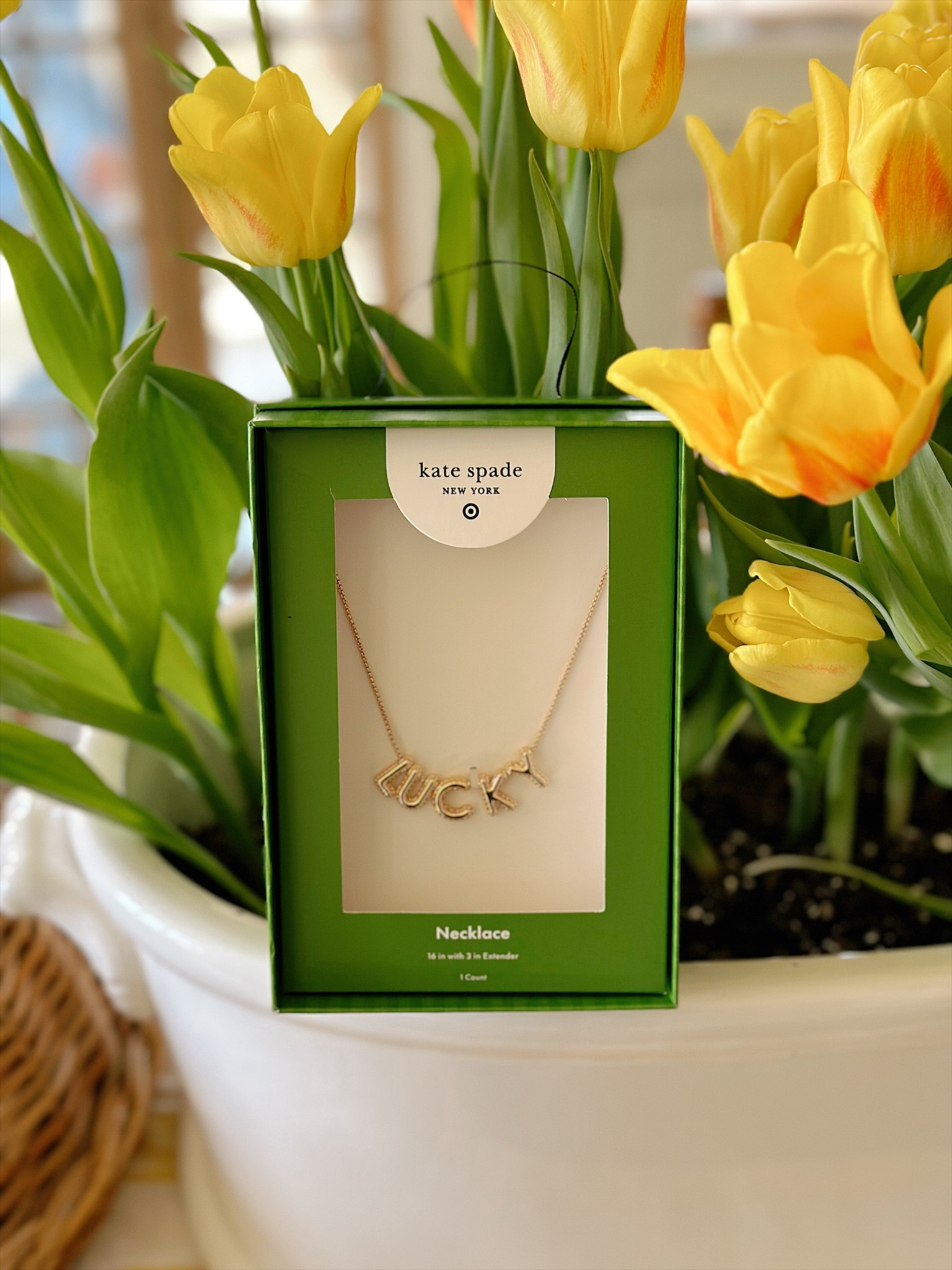 Target x kate spade collab haul 🫶🏼🫶🏼🫶🏼 love this lucky necklace 

#LTKFindsUnder50 #LTKBeauty #LTKGiftGuide