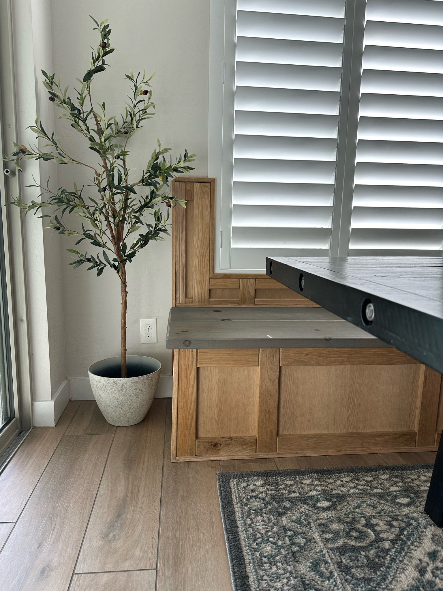 Affordable Olive Tree Options in various heights

#LTKsalealert #LTKhome #LTKfindsunder50