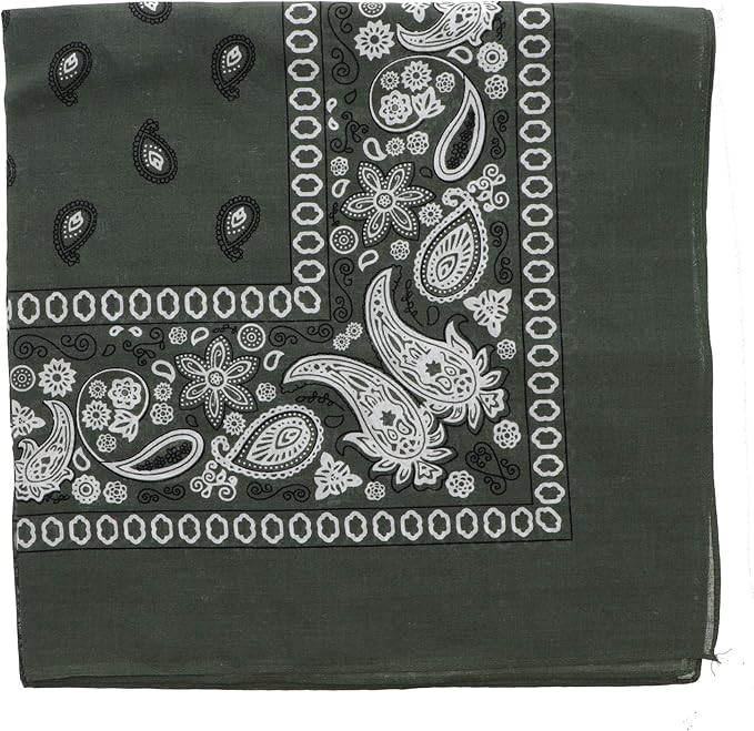 Motique Accessories Extra Large Paisley Bandana 27x27 Inch | Amazon (US)