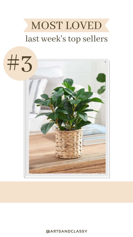 This artificial plant is one of this week’s best sellers! It’s from Walmart and u see $15! This faux plant is the perfect addition to your spring or summer home decor. 

#LTKFindsUnder50 #LTKSeasonal #LTKHome