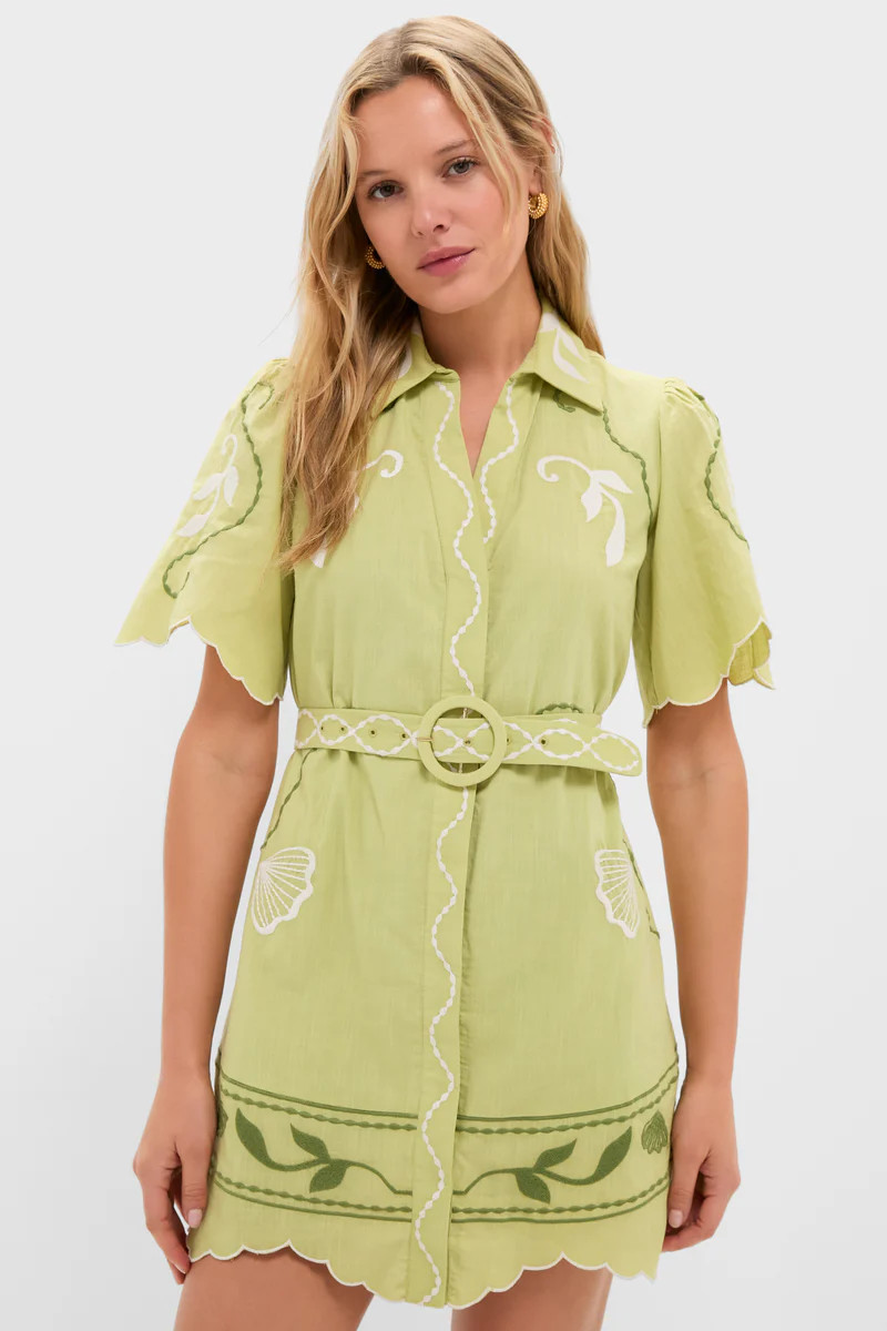 Pastel Mint Poppy Mini Dress | Tuckernuck (US)