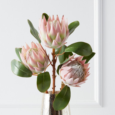 Protea Queen Spray - Set of 3 | Z Gallerie
