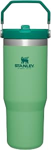 STANLEY IceFlow Stainless Steel Tumbler with Straw, Vacuum Insulated Water Bottle for Home, Offic... | Amazon (US)
