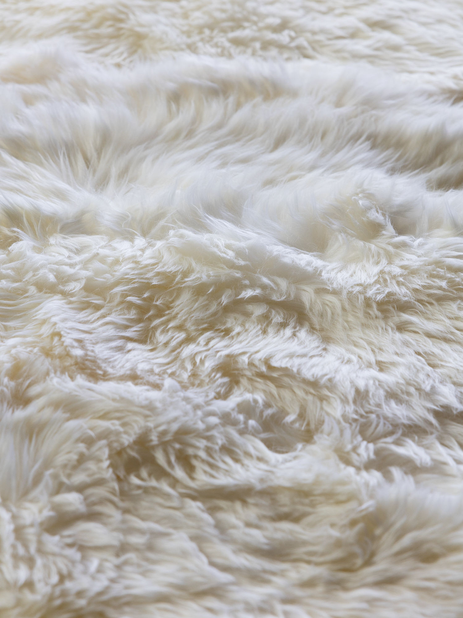 4-Pelt (4' x 6') Australian Sheepskin Area Rug | Overland Sheepskin Co.