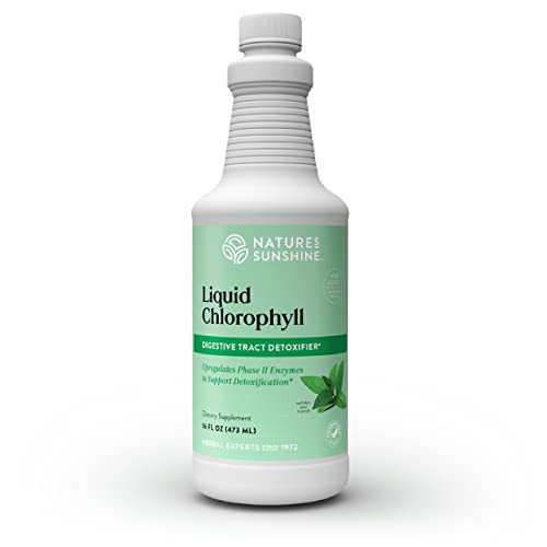 Nature's Sunshine Liquid Chlorophyll - Immunity Support, Detox & Cleanse, Chlorophyll Liquid Drops with Spearmint Oil, Natural Energy Boost, Internal Deodorant - 16 Fl Oz | Amazon (US)