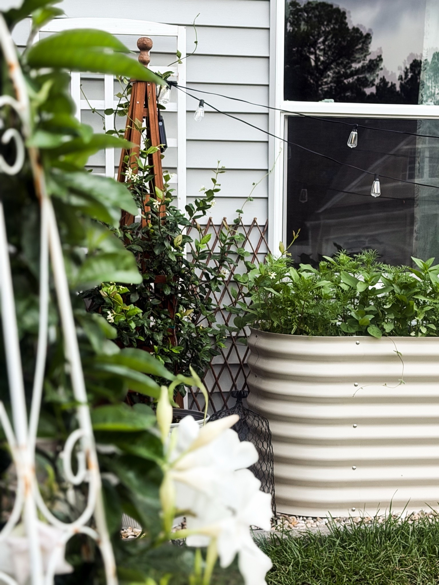 Summer gardening. ☀️

#LTKSeasonal #LTKHome
