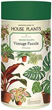 Amazon.com: Cavallini Papers & Co. House Plants 1,000 Piece Puzzle, Multi : Toys & Games | Amazon (US)