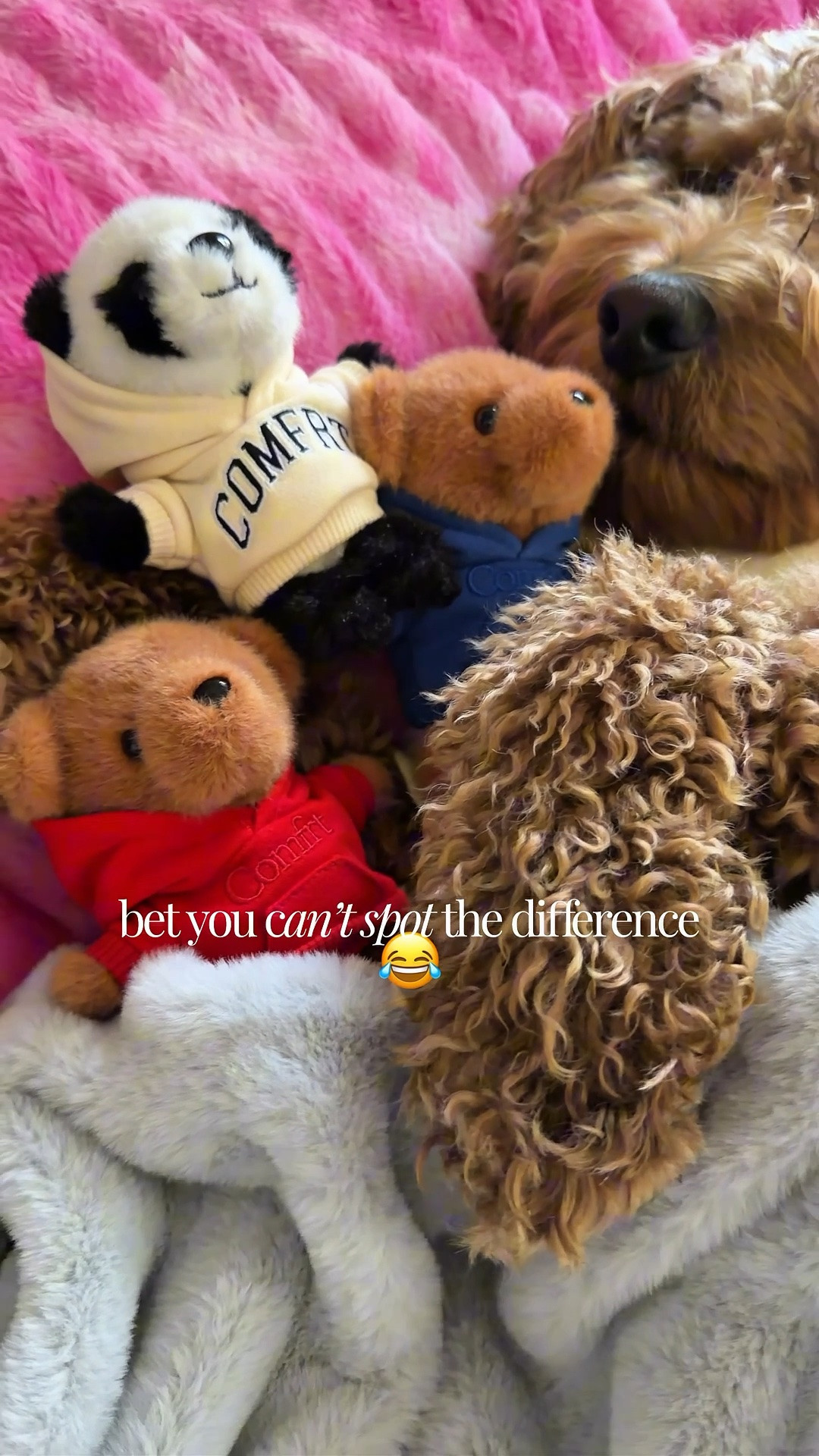 a slumber party amongst besties 🧸🐾🤎

#LTKSaleAlert #LTKHome #LTKSeasonal