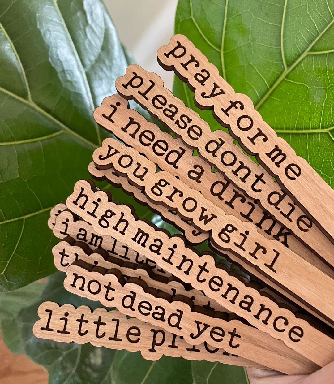 Punny Plant Signs| Plant Markers| Plant Gift | Boho Decor | Vertical Plant Sticks | Garden Access... | Etsy (US)