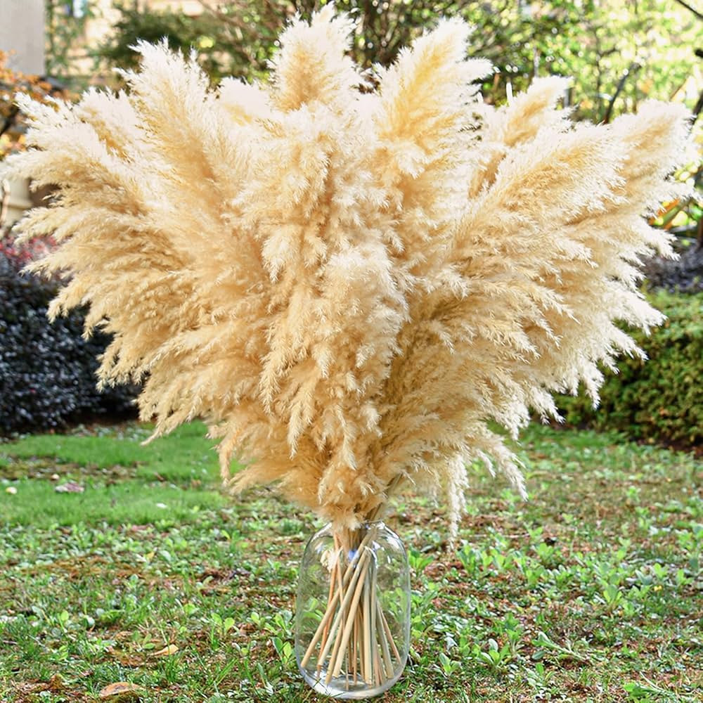 40" 11 PCS Dried Pampas Grass Decor Tall,Large Natural Beige pompas Grass,Tall Pampas Grass for F... | Amazon (US)