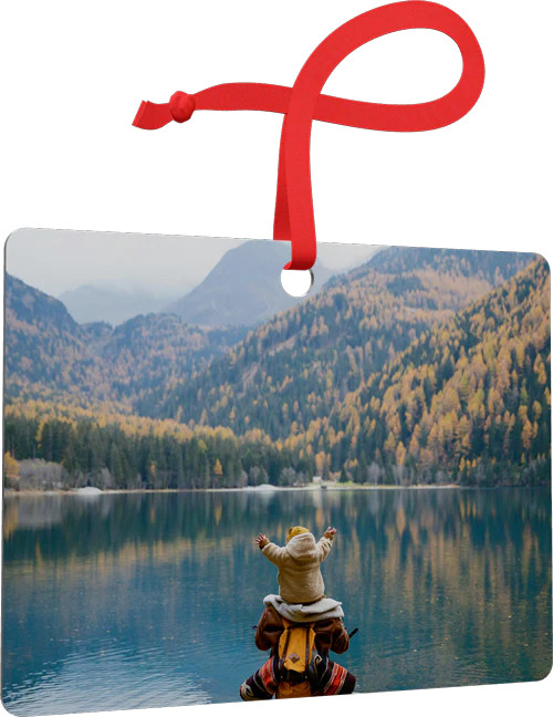 Metal Ornament | Frameology